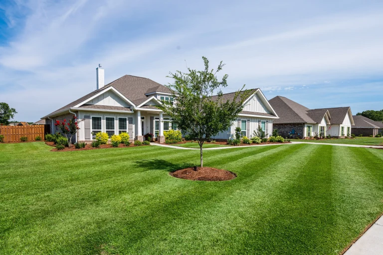 Home 5 A House With A Lawn And A Tree